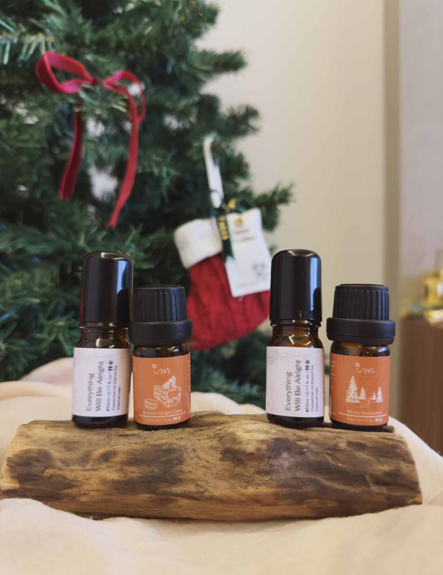 Seasonal Gifting Sock